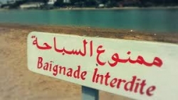 تأهيل بيئي ببن عروس يشمل تنظيف شواطئ ومعالجة ثلاثية بهذه المحطات