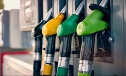 الدعم يستوعب19 ب المئة من الميزانية.. و61،3  ب المئة منه موجّه للمحروقات