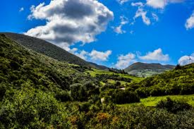 باجة: اندلاع حريق بحقل للحبوب