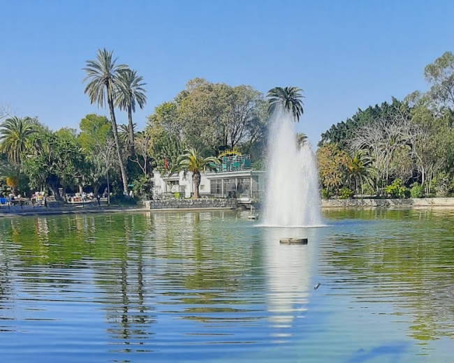 المكتبة الخضراء تفتح أبوابها من جديد يوم الأحد 22 جوان بحديقة البلفدير