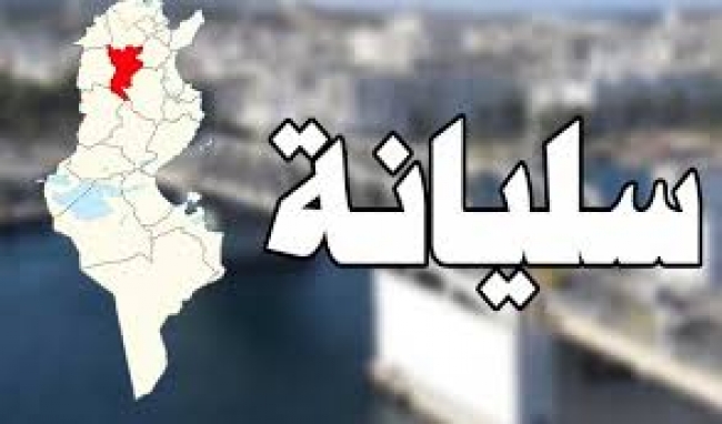 مقترحات قوانين لإحداث 21 بلدية جديدة أغلبها في سليانة