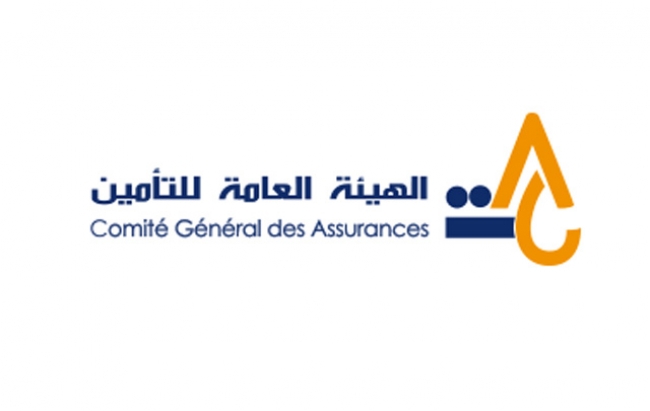 الهيئة العامة للتأمين تنشر مبادىء توجيهية تتعلق بتنفيذ إجراءات تجميد الأصول