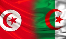 مسؤول برلماني جزائري: تونس والجزائر تحتاجان إلى وضع آليات تعاون قائمة على جدول زمني لتنفيذها